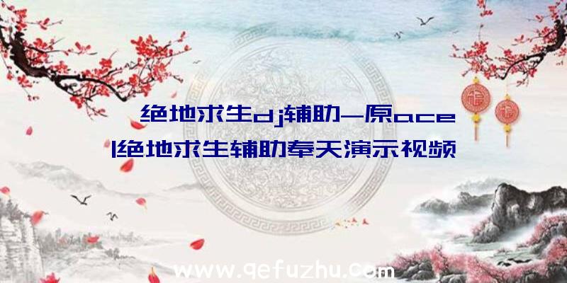 「绝地求生dj辅助-原ace」|绝地求生辅助奉天演示视频